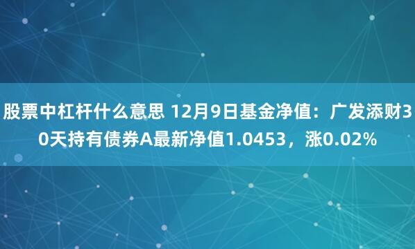 股票中杠杆什么意思 12月9日基金净值：广发添财30天持有债券A最新净值1.0453，涨0.02%