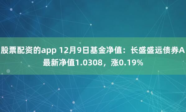 股票配资的app 12月9日基金净值：长盛盛远债券A最新净值1.0308，涨0.19%