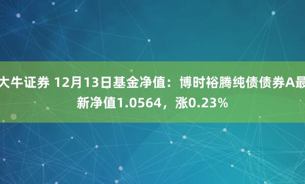 大牛证券 12月13日基金净值：博时裕腾纯债债券A最新净值1.0564，涨0.23%