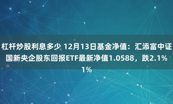 杠杆炒股利息多少 12月13日基金净值：汇添富中证国新央企股东回报ETF最新净值1.0588，跌2.1%