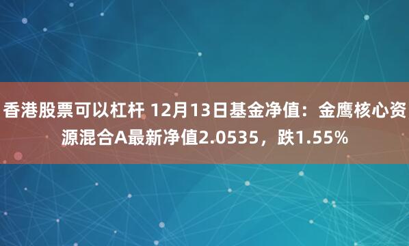 香港股票可以杠杆 12月13日基金净值：金鹰核心资源混合A最新净值2.0535，跌1.55%