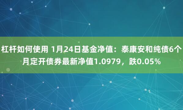 杠杆如何使用 1月24日基金净值：泰康安和纯债6个月定开债券最新净值1.0979，跌0.05%