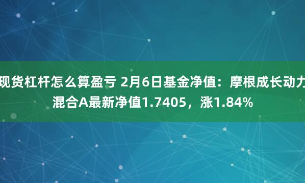 现货杠杆怎么算盈亏 2月6日基金净值：摩根成长动力混合A最新净值1.7405，涨1.84%