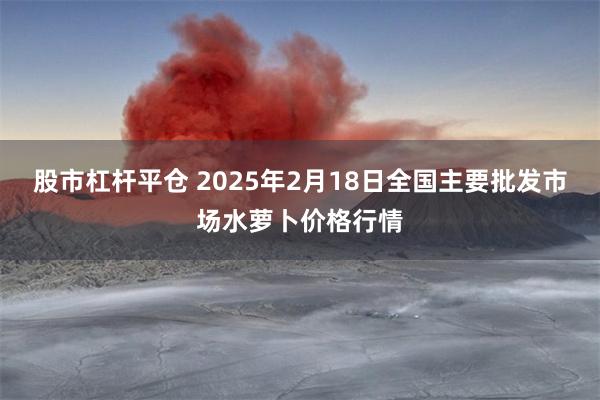 股市杠杆平仓 2025年2月18日全国主要批发市场水萝卜价格行情