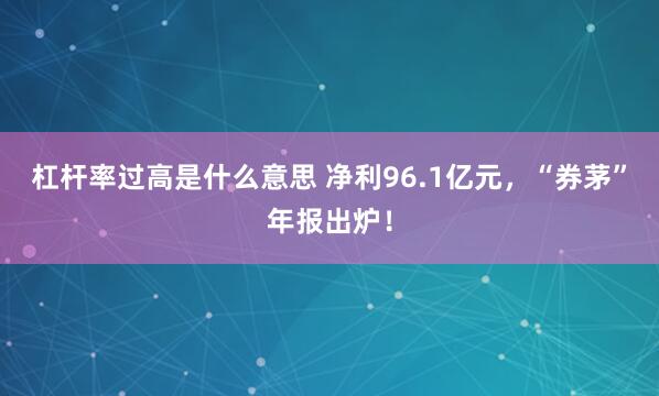 杠杆率过高是什么意思 净利96.1亿元，“券茅”年报出炉！